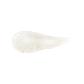 Shampoo Siàge Pro Cronology 250ml