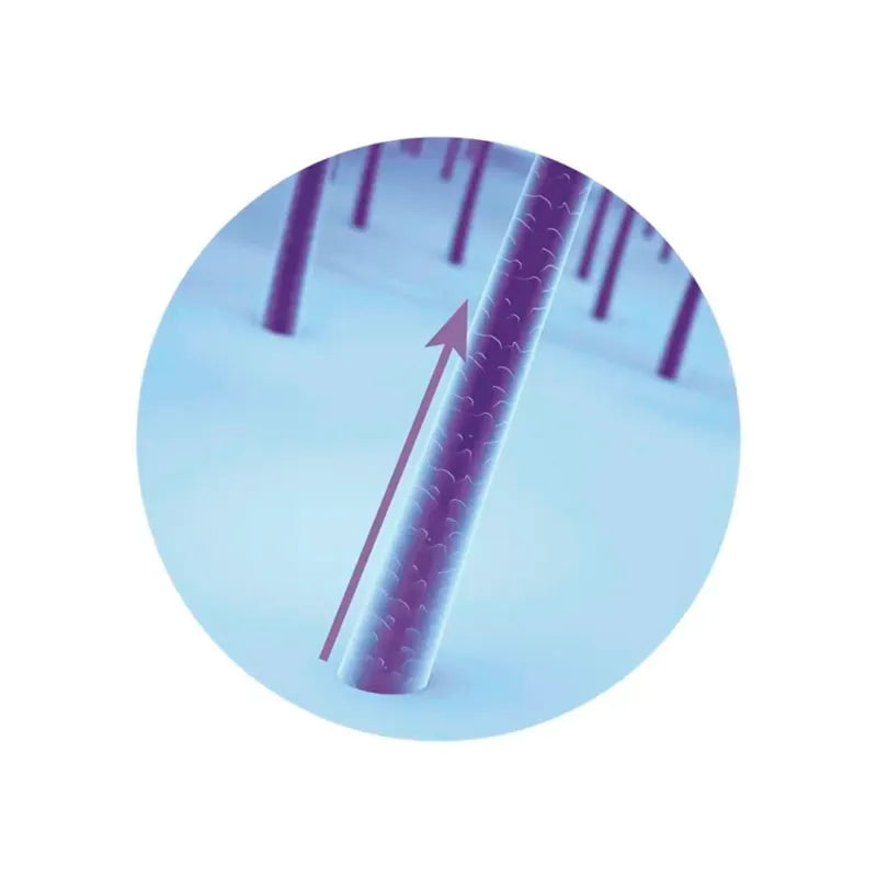 Siàge Accelerates Growth Conditioner 200ml