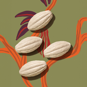 Sabonete em Barra Ekos Cacau - 4 unidades de 100g - Edição limitada